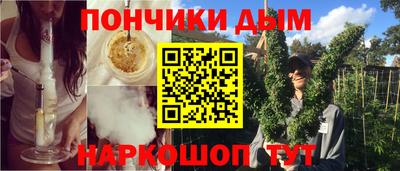 шишки Жуковский