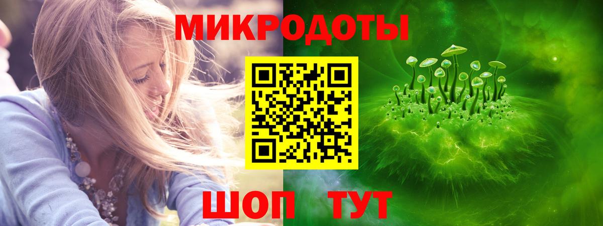 Псилоцибиновые грибы Cubensis Сочи
