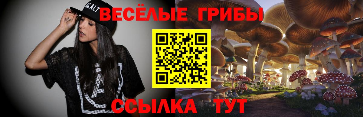 Сочи  Псилоцибиновые грибы MAGIC MUSHROOMS  Вход с VPN 